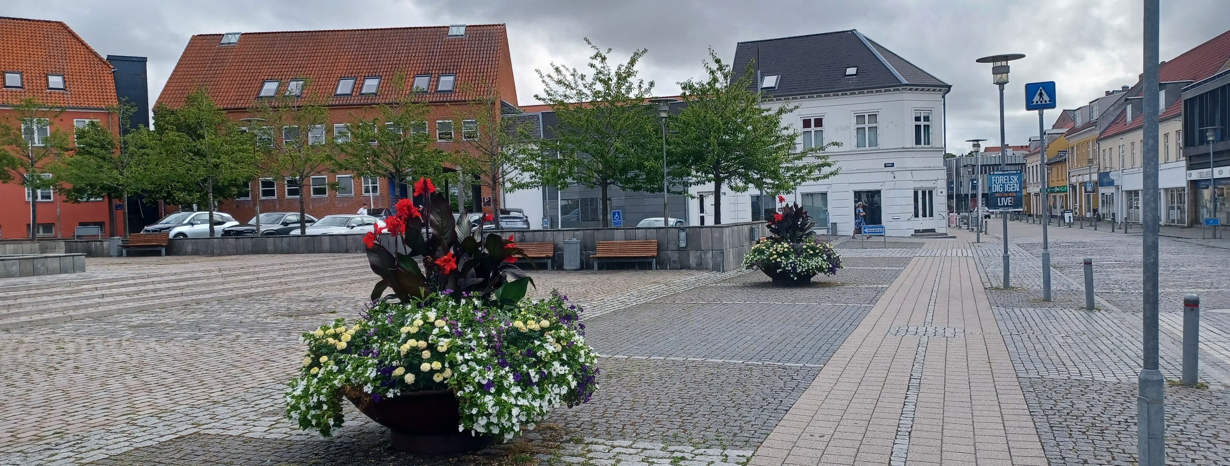Billede af sommerblomster i kumme